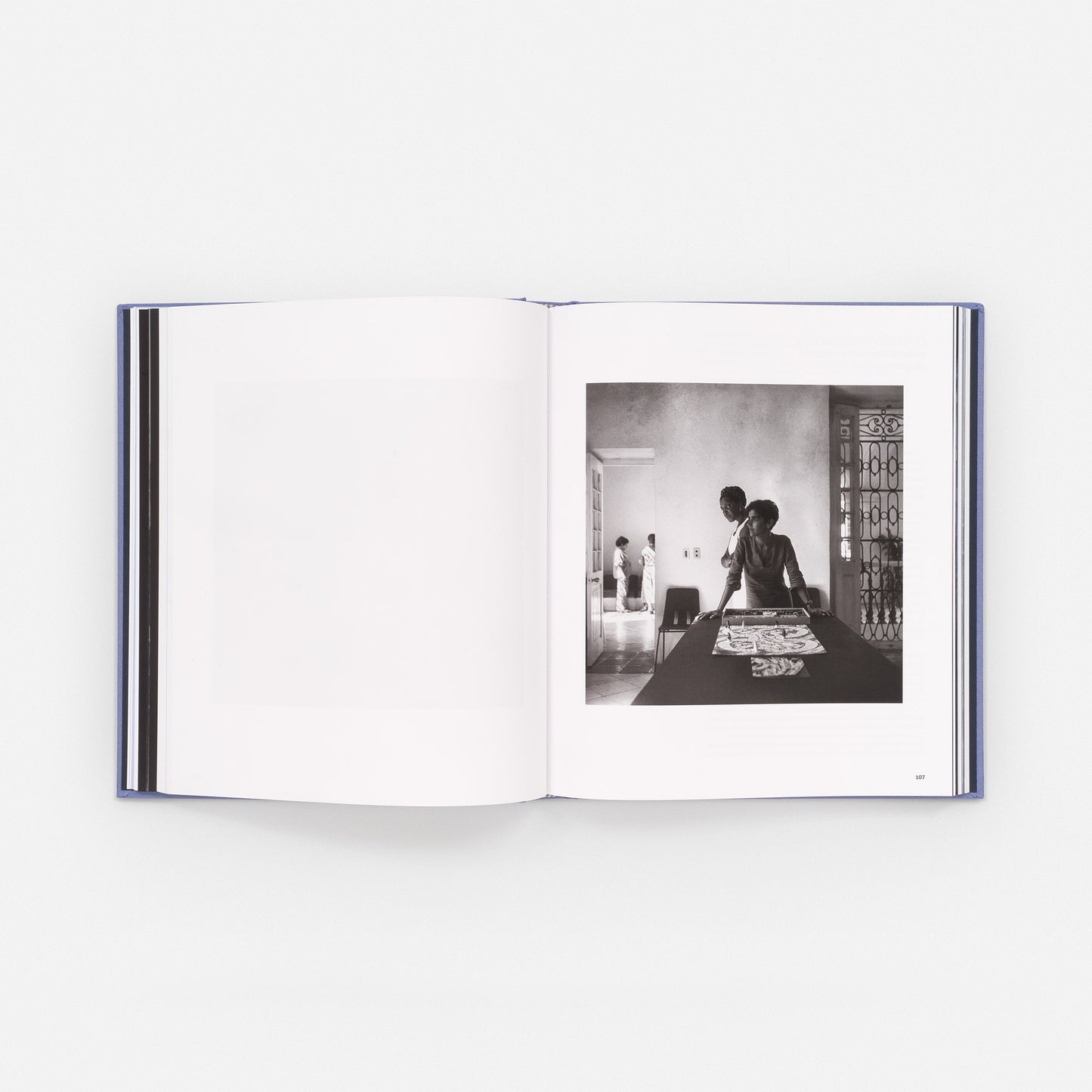 Carrie Mae Weems: The Heart of the Matter