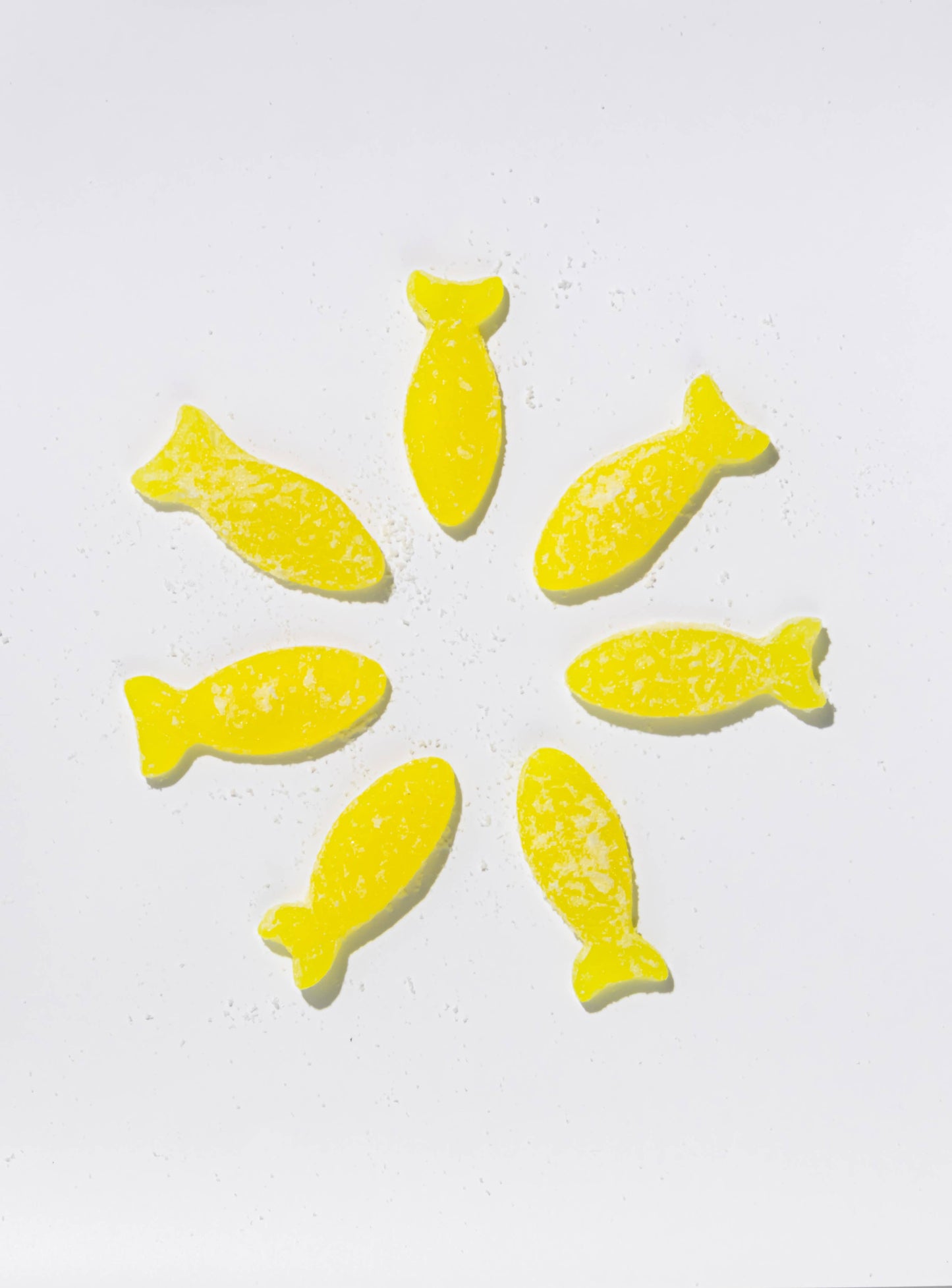 BonBon - Sour Elderflower Fish