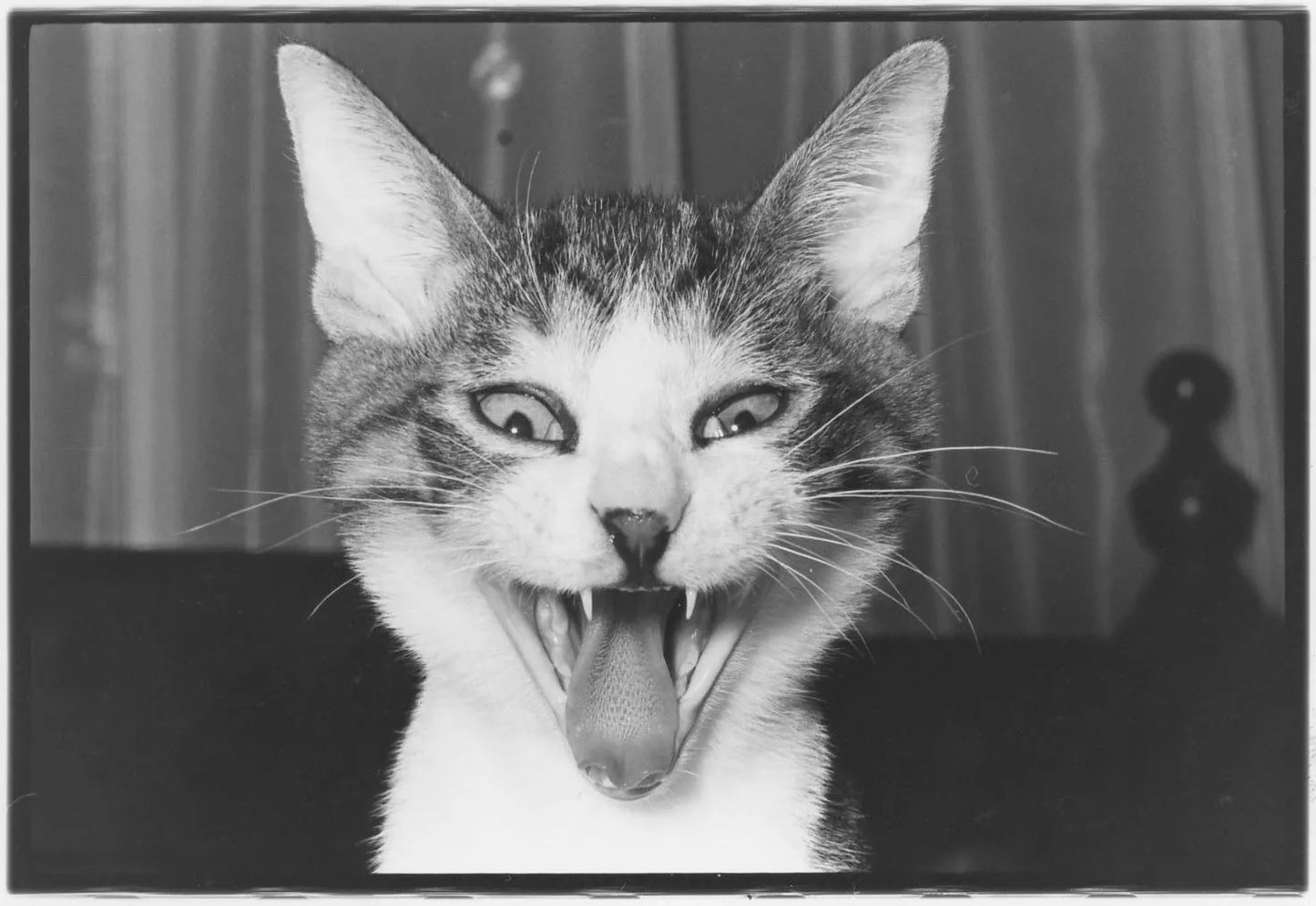 Masahisa Fukase: Masahisa Fukase