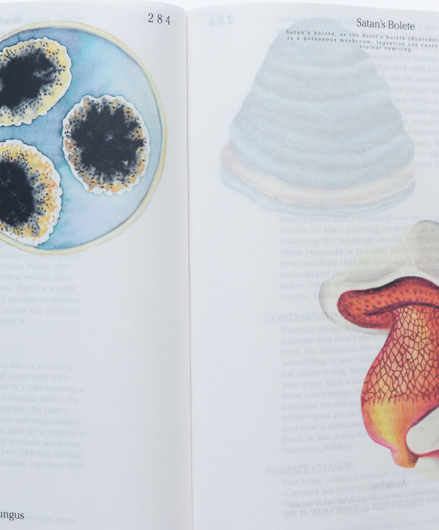 Let's Become Fungal!: Mycelium Teachings and the Arts