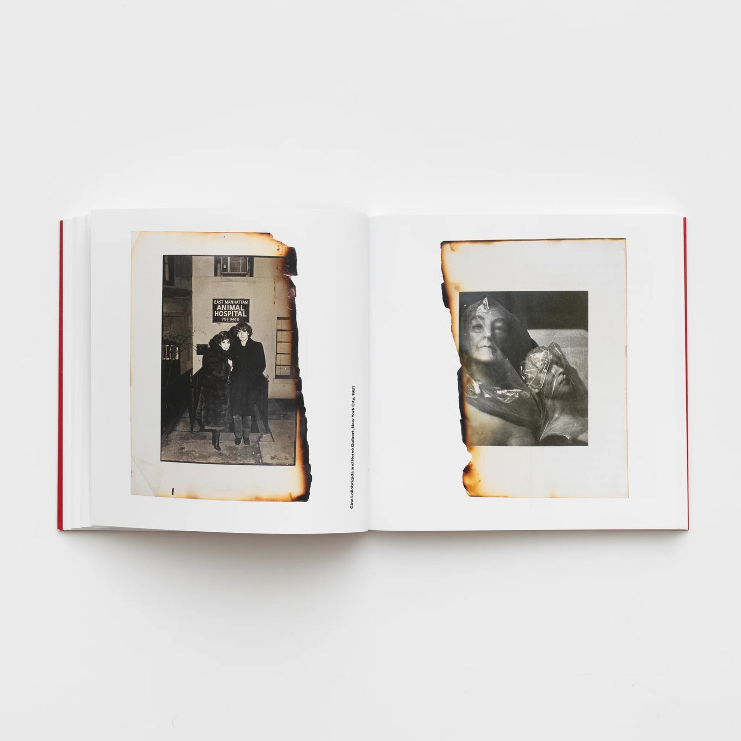 Anne Day: Les Flashes d'Anne: Friendship Among the Ashes with Hervé Guibert