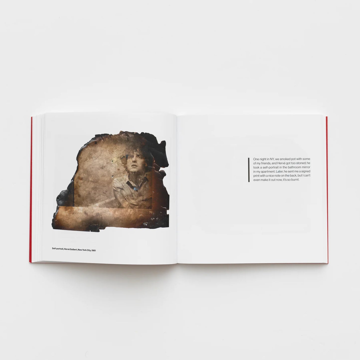 Anne Day: Les Flashes d'Anne: Friendship Among the Ashes with Hervé Guibert